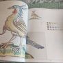 Classic Needlework : Create over Twenty Patterns from the Past Image 6
