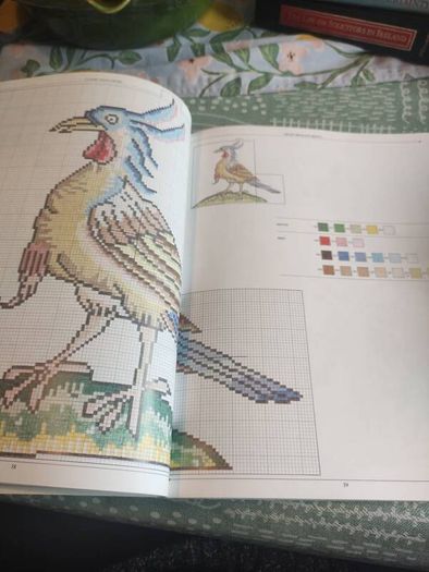 Classic Needlework : Create over Twenty Patterns from the Past