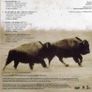 U2 - The Best Of 1990-2000 Promotional Cd  And   U2 - Exclusive Cd Image 4