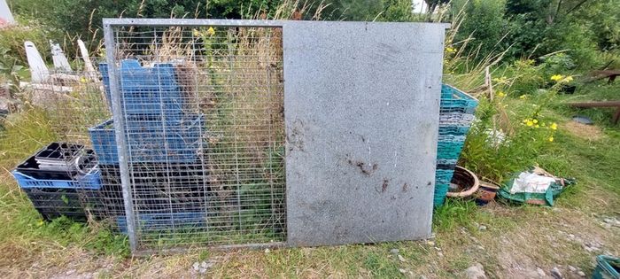 dog run