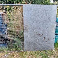 dog run