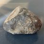 Collectable Fossil coral stones Image 6