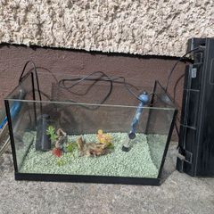 Fish tank
