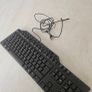 dell keyboard mice & headset brand new Image 3