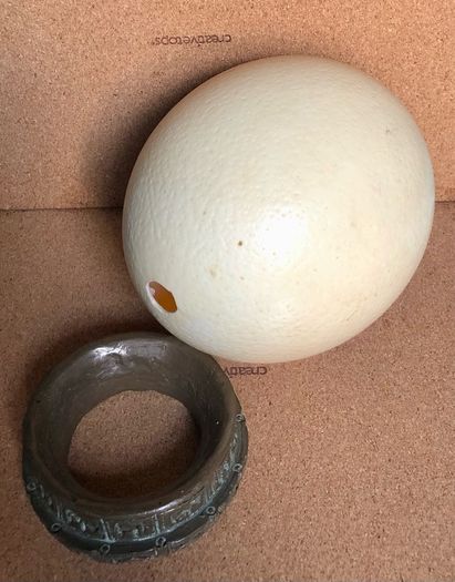 Ostrich Egg Big Five Art