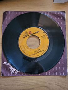 Norman Greenbaum Spirit In The Sky 7 inch Vinyl 1969 Reprise Records