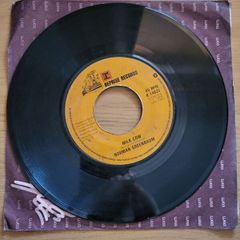 Norman Greenbaum Spirit In The Sky 7 inch Vinyl 1969 Reprise Records