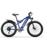 Shengmilo MX03 Bafang Electric Bike Image 10