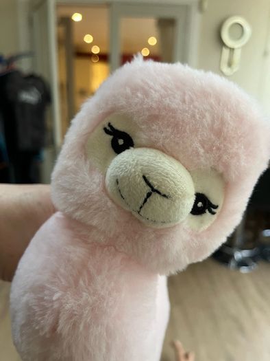 Cuddly Pink Lama
