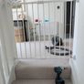 Stair Gate Image 3