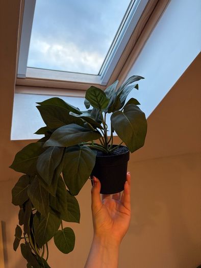 Artificial Plant