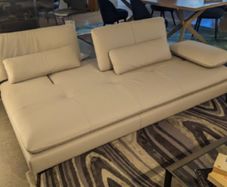 Roche Bobois Sofa