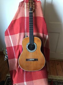 acoustic guitar