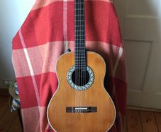 acoustic guitar