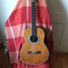 acoustic guitar