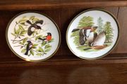 Vintage Franklin Porcelian woodland birds of the world 10 inch decorative plates