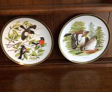 Vintage Franklin Porcelian woodland birds of the world 10 inch decorative plates