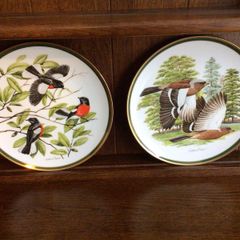 Vintage Franklin Porcelian woodland birds of the world 10 inch decorative plates