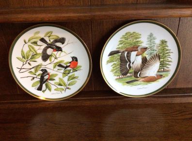 Vintage Franklin Porcelian woodland birds of the world 10 inch decorative plates