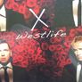 Westlife Parfum Image 2