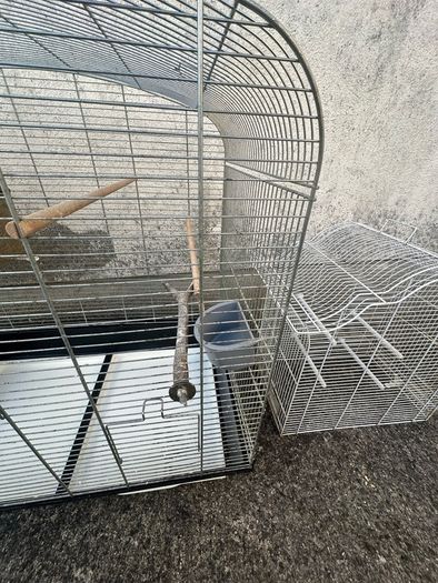 Bird Cages