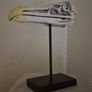 1/1 resin copy of a albatross skull. On display stand. Image 3