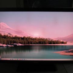 Dell U3011T Monitor - CCFL Technology