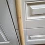 Walking stick Image 3