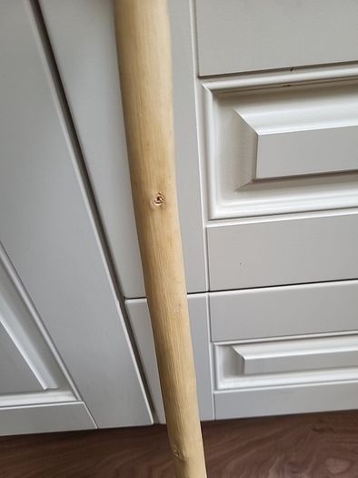 Walking stick