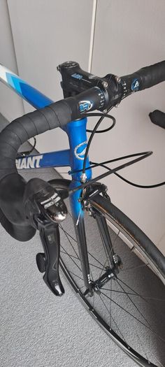 Giant TCR 1