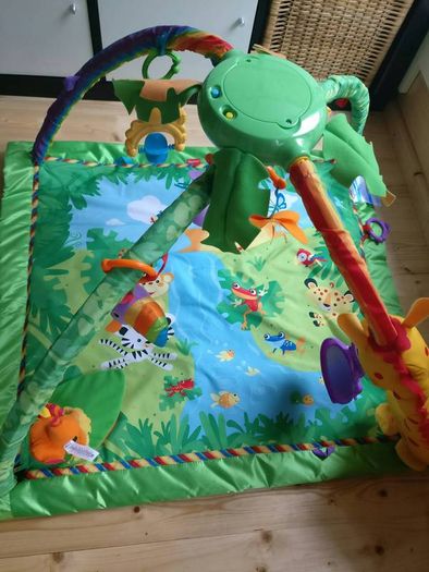 FisherPrice Rain Forest Baby Gym