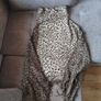 Leopard Print Poncho, ONE SIZE Image 2