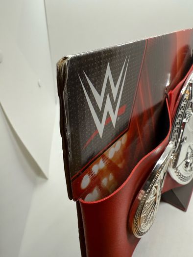 wwe Kids Raw tag team championship title