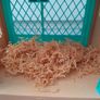 Little live pets Image 4