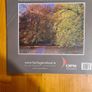 Emo Court. James Gandon's Classical Shoepiece In Laois. Home To Father Browne's Photographic Collection.. Large Paperback In Very Good Condition. Image 2