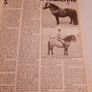 old 1984 Olympic special horse magazine Image 3