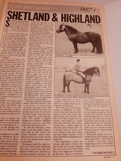 old 1984 Olympic special horse magazine
