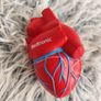 Realistic Anatomical Heart Stress Ball Image 2
