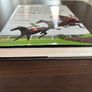 National Hunt and Point to Point Racing in Ireland Image 2