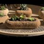 Stone Troughs.a Image 2