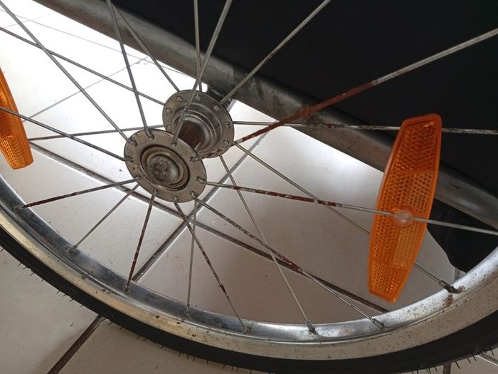 Bicycle trailer for kids - Mwave - VGC