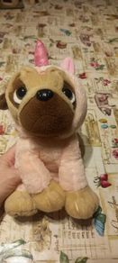 teddy pugsley unicorn