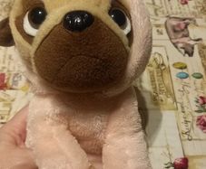 teddy pugsley unicorn