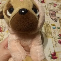 teddy pugsley unicorn