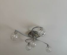 Ceiling light