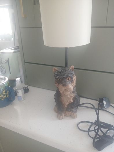 doggy lamp