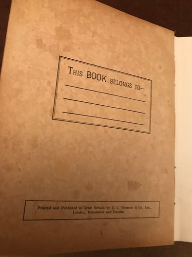 Vintage 'The Rover Book for Boys'
