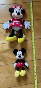 Minnie & mickey house teddy