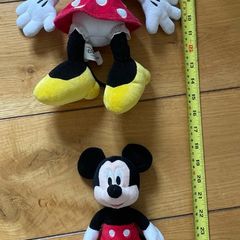 Minnie & mickey house teddy
