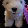 our generation toy poodle pup Image 4